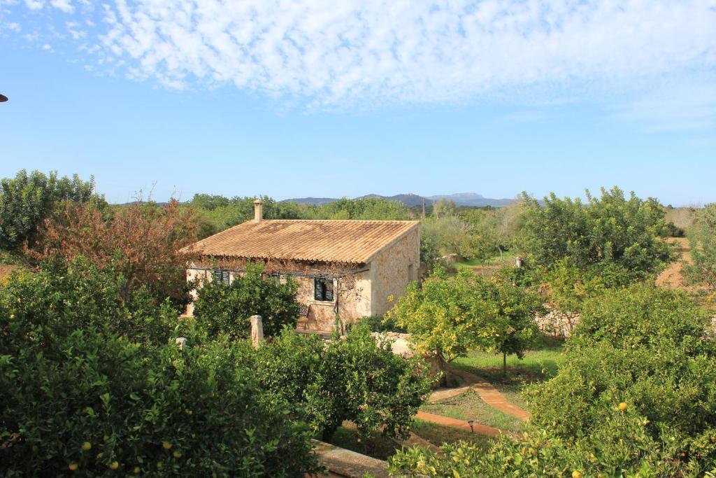 S'horabaixa Séjour à la ferme Felanitx
